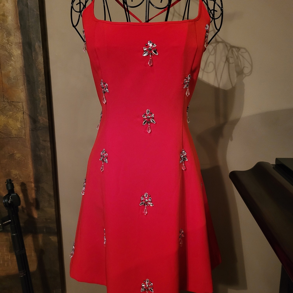 Elegant Red Embellished Dress